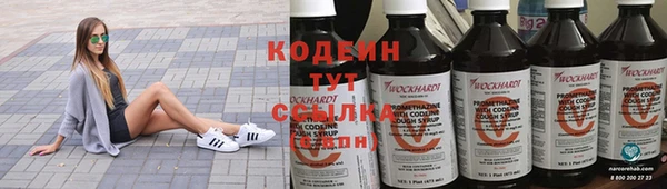 гашик Нея