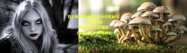 гашик Нея