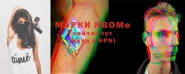гашик Нея
