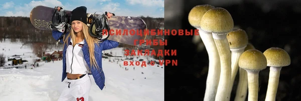 ешки Нефтекумск