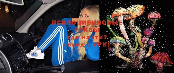 ешки Нефтекумск