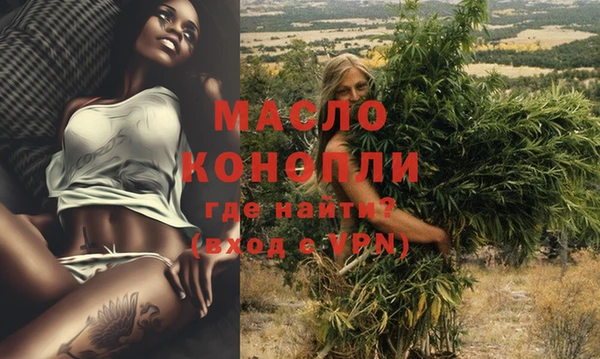 гашик Нея