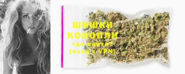 гашик Нея