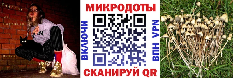 Купить где  Ханты-Мансийск  Псилоцибиновые грибы мицелий 